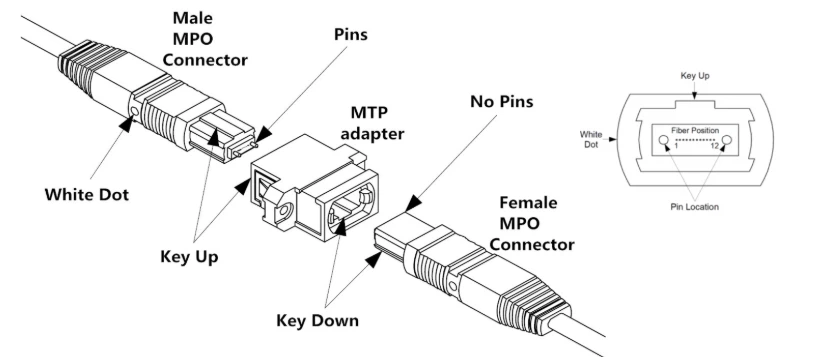 MTP Connector MTP Connector